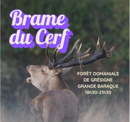 Balade sonore au coeur de la Grésigne - Expérience Tarn