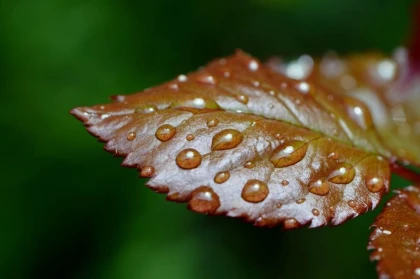 Jour de pluie ou canicule - Expérience Tarn