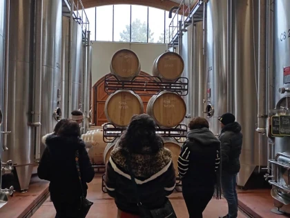 Pass Vigneron - Château Les Vignals - Expérience Tarn