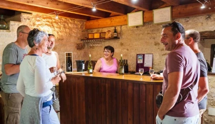 Pass Vigneron - Domaine Mas d'Aurel - Expérience Tarn
